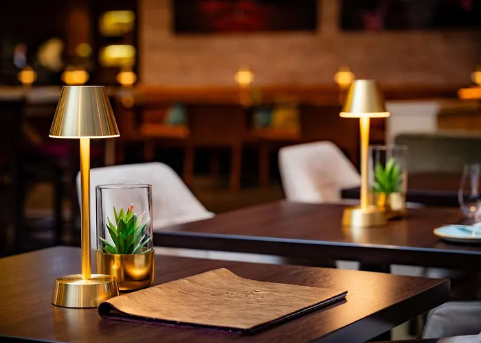 Park Plaza فندق ترير