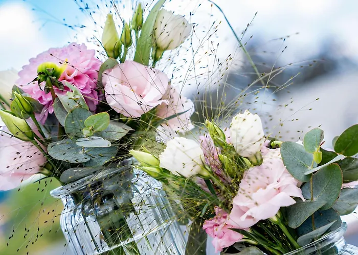 فندق Park Plaza 4*